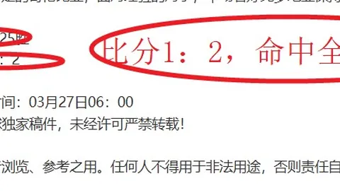 沃尔特马德连发12场球荒挑战，进球良机难觅！